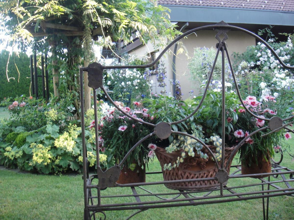 Romerswil Charming And Cosy Apartment Near Lucerne מראה חיצוני תמונה