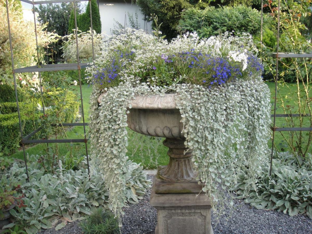 Romerswil Charming And Cosy Apartment Near Lucerne מראה חיצוני תמונה